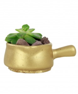 Mini Çiçek Saksı Küçük Sukulent Altın Kaktüs Saksısı Tava Model